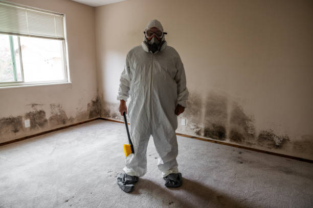 Best Industrial Mold Remediation in Frent Hills, MO